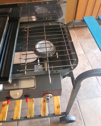 Barbecue da giardino 