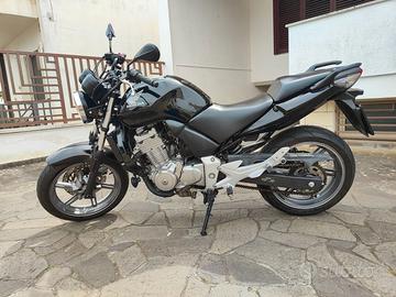 Honda CBF 500 - 2005