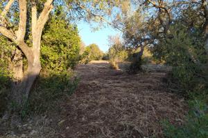 Terreno mq. 600 a Sassari - La Landrigga -