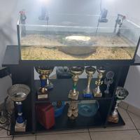 acquario per pesci oppure tartarughe