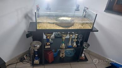 acquario per pesci oppure tartarughe