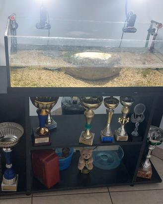 acquario per pesci oppure tartarughe