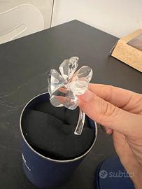 Quadrifogli swarovski