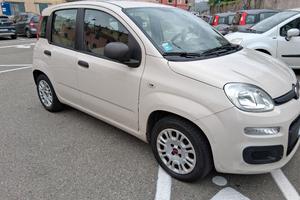 FIAT PANDA 1.2 BENZINA POCHI KM SOLO 54.400
