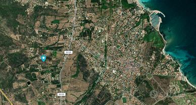 Terreno agricolo vista mare