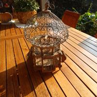 Gabbia originale Tunisia