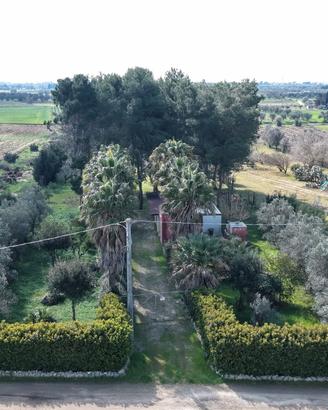 Terreno agricolo di 6.300 mq con fabbricato di 45