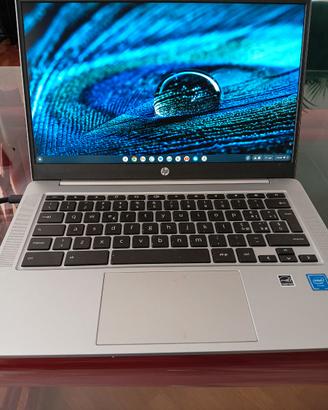 Hp Chromebook 14