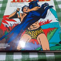 Fumetto cartonato TARZAN,ed. Mondadori 