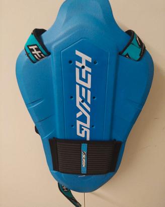 Paraschiena slytech