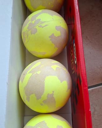bocce sintetiche