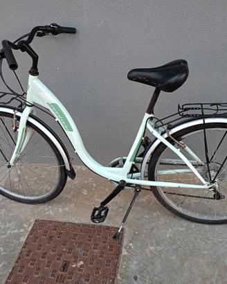Bici da passeggio