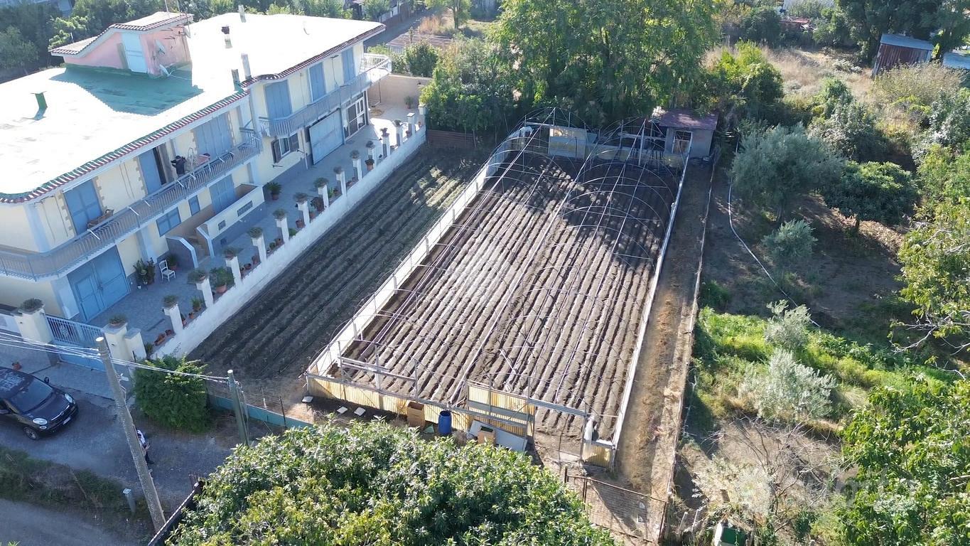 TERRENO A POLLENA TROCCHIA - Vista 4