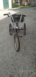 Bici. Triciclo risciò