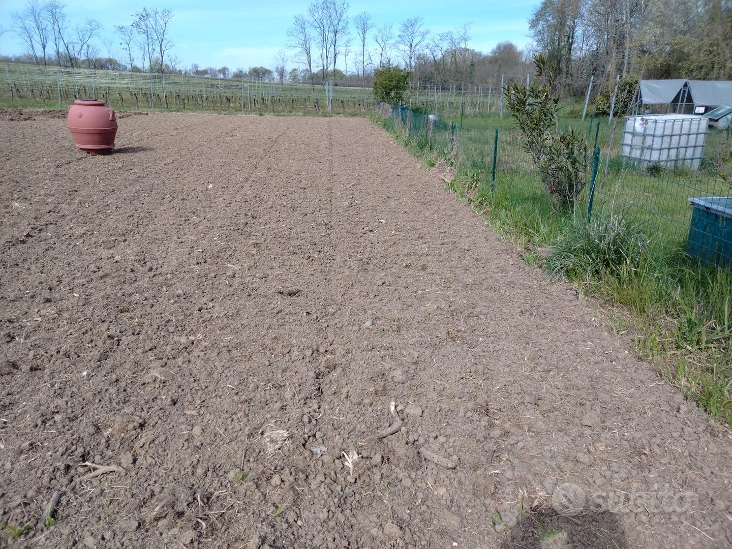 Terreno agricolo - Vista 2