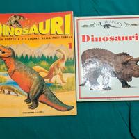 2 libri sui dinosauri 