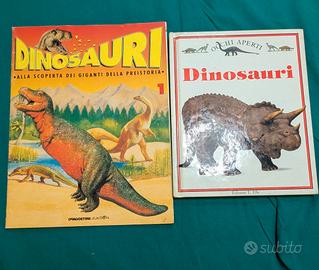 2 libri sui dinosauri 