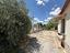 Immagine 15
