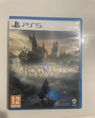 Hogwarts Legacy ps5