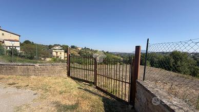 TER. AGRICOLO A MORLUPO