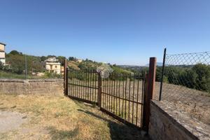 TER. AGRICOLO A MORLUPO