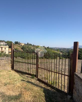 TER. AGRICOLO A MORLUPO