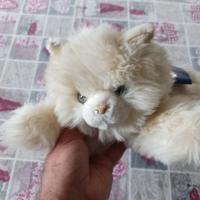 Splendidi peluche gatti Trudi