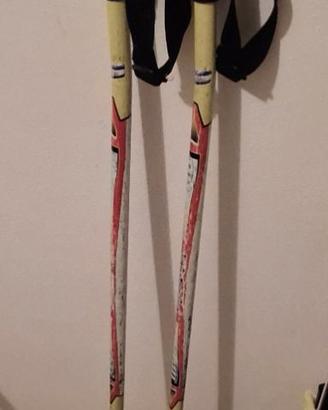 Bastoncini Sci Head 125