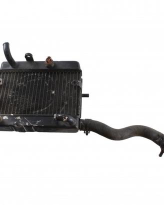 Radiatore acqua Yamaha Majesty