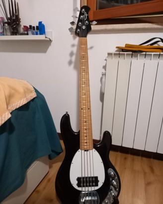 Basso 5 corde stingray OLP