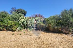 Terreno Edificabile - Paternò