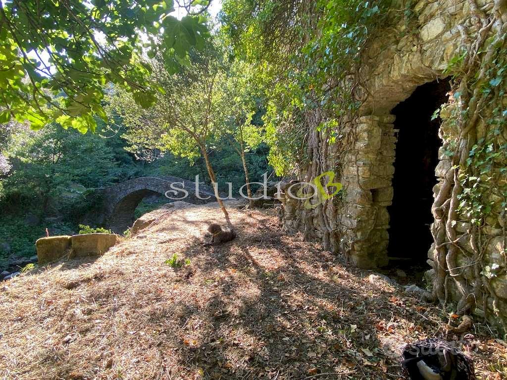 Rustico-Casale a Vallebona - Vista 5