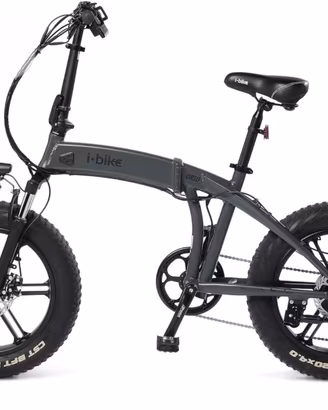 Bici elettica