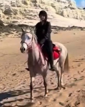 Cavalla Siculo Orientale arabo 7 anni