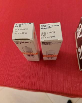 2 lampadine alogene stam xenophit hlx 64663