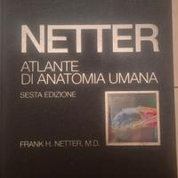Atlante netter Anatomia umana