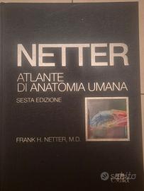Atlante netter Anatomia umana