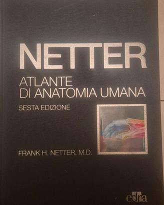 Atlante netter Anatomia umana