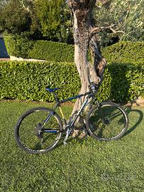 Bici MTB Whistle Patwin 29