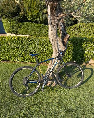 Bici MTB Whistle Patwin 29