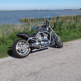 Harley V-Rod
