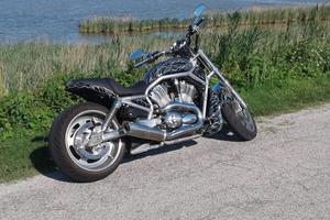 Harley V-Rod