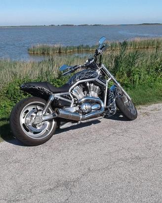 Harley V-Rod