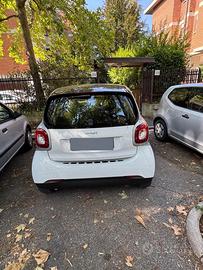 Autovettura Smart fortwo  passion