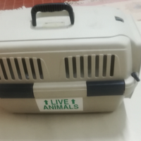 Gabbia trasporto gatti e cani professionale