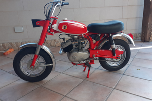 Beta boy special prezzo ribassato