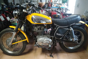 Ducati Scrambler