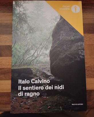 Il sentiero dei nidi di ragno 