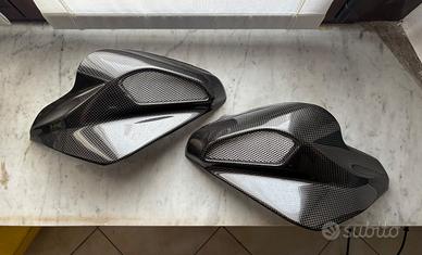 Carbonio per Mv Agusta Brutale old