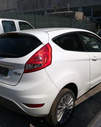 Portellone nudo FORD FIESTA del 2009